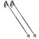 ski poles