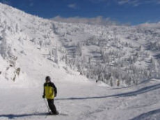 Ski safety