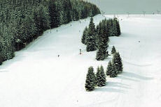 Avalanches